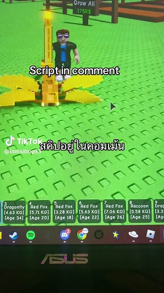 Very good script#fypシ #growagarden #script #dupe #raccoon #dragonfly