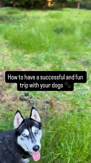 Bringing your dogs along for an RV getaway makes the whole trip feel more like home. After a few years of RV life with pups in tow, here are the things that make the biggest difference: 🍖Create a “dog station” Keep leashes, poop bags, wipes, food, and meds in one easy-to-grab spot. It saves so much chaos when you’re heading out the door for potty breaks. 🦴Pack familiar comforts Their regular bed, a favorite blanket, and a couple of toys help them settle quickly in a new space. ❤️Give them thei