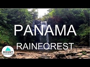 Panama Travel Highlights: A Journey through Panama’s Rainforest - Panama Travel Video