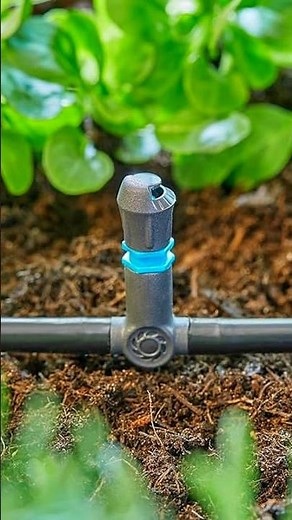 💧Micro-Drip Bewässerung GARDENA in Aktion ‪@GardenaWorldwide‬ #Bewässerung #garten🌞