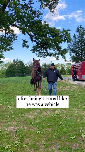 NYC CARRIAGE HORSE RESCUE: Our cofounder Jay L Weiner just arrived at The Gentle Barn sanctuary with a horse who was used for carriage rides. Bernard is clearly sore, appears to be lame, and has a series of numbers burned into his hoof, evidencing his years of work pulling carriages through the hard concrete streets of New York City. Thankfully he was pulled from an auction house—where he otherwise would've been sent to slaughter due to lameness—by rescuers Copper Horse Crusade. We were then con