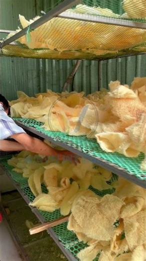 Natural Loofah Washing and Drying Process