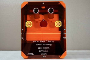 Frelon asiatique : Ludi-Stop dévoile une solution innovante et Made in Bretagne pour protéger nos abeilles