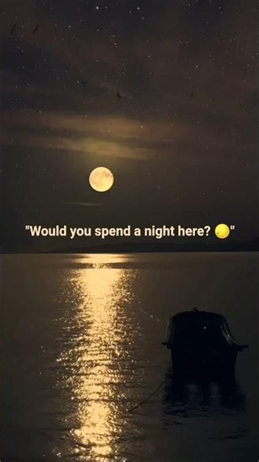 Relaxing Moon Reflection on Water 🌊🌕