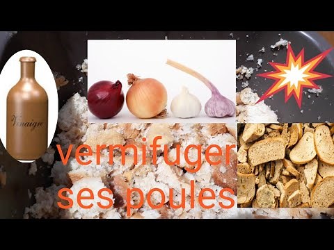 Vermifuger ses poules naturellement