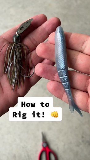 Blade Minnow and Thunder Cricket Fishing Pairing