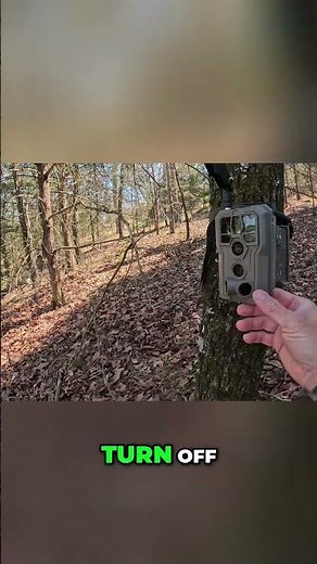 Master Trail Camera Setup - Quick & Easy Guide for Hunters! #shorts