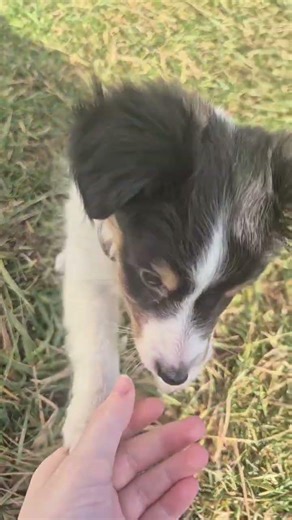 My babies first gotcha day