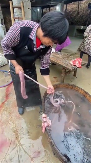 Fresh Pork Intestine Cleaning, No Odor｜3 Steps to Clean Pork Chitterlings