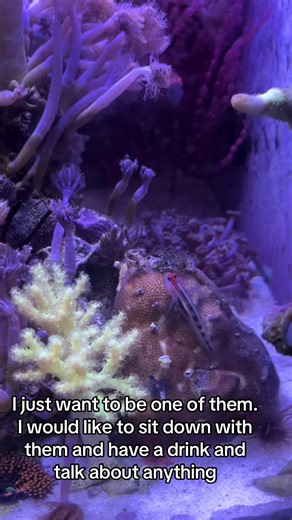 nick_netz (@nick_netz)’s videos with sonido original - fitt_damm