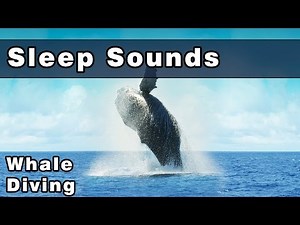 Peaceful Whale Sounds To Sleep To, Water Sounds, Diving With Whales, Ocean Noises, 10 Hours