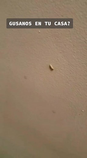 TikTok - Make Your Day