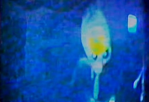 @FoxNews Make this viral!!! Alien from the Dept of War!!! Omg!!