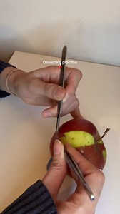 Med Student Apple Dissection Practice