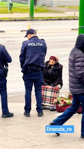 Dacă florile erau puse într-o cutie de pantofi nu erau amendată. #vlog #fypシ #automobile