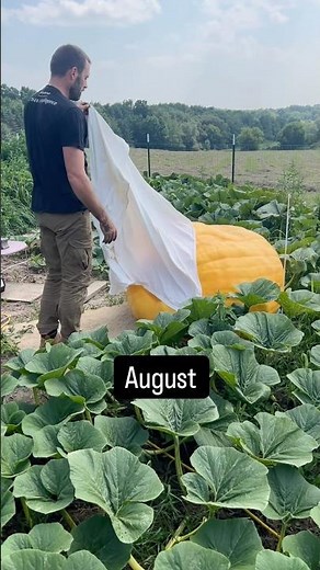 This Gets More Insane Every Month