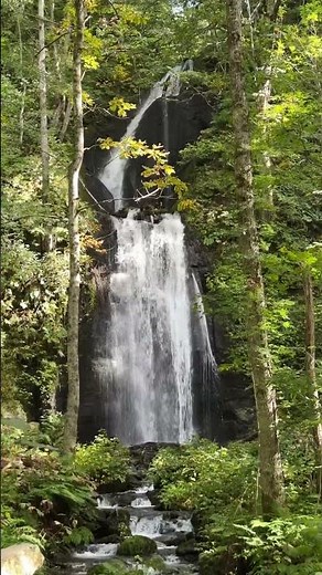 森の滝を満喫できる場所🕹️雲井の滝 奥入瀬渓流 青森県