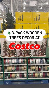 This wooden tree home decor is so stylish and you can grab it at Costco! #costco #costcofinds #costcoshopping #homedecor #wooddesign #fallvibes | Discovering Costco