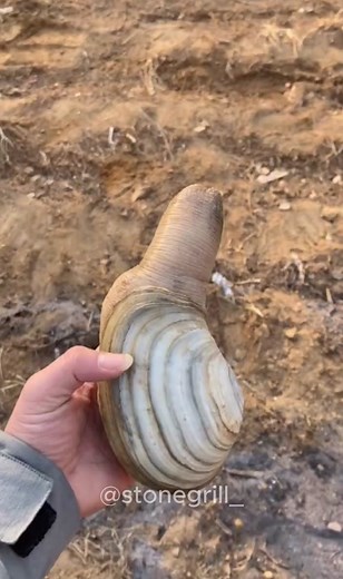 stonegrill_ on TikTok