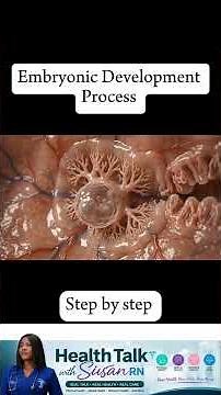 Embryonic development during pregnancy #pregnancy