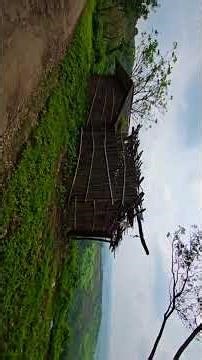 Near To Nature Part 18 #shorts #narure #vlog