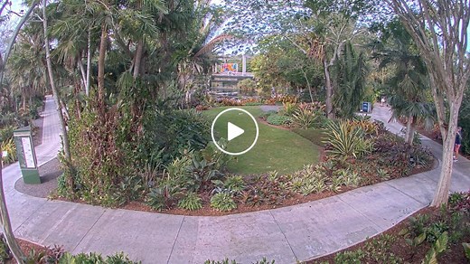 Naples Botanical Garden Cam