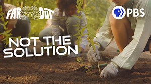 9.7K views | In 2019, a Turkey tree planting campaign set a world record. Three months later, 90% of those saplings were dead. Planting trees to replace old-growth forests is a common solution, but it typically does not solve the problem. With deforestation causing climate-related disasters, it’s time to take a hard look at reforestation and what we can do to save our forests. Sinéad Bovell tells us what we know in this episode of #FarOutPBS. | PBS North Carolina | Facebook