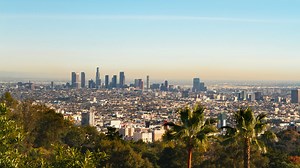 How Los Angeles Became the Leader of a Tree-Planting Revolution