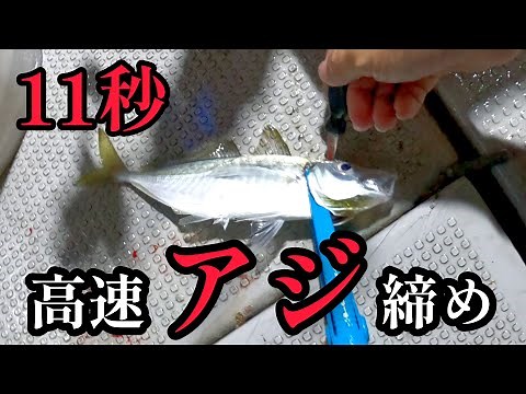 【11秒】超高速でアジを締めて血抜きする方法 アジング、バチコンの時の〆方！