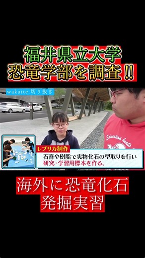 【wakatte.切り抜き】福井県立大学恐竜学部を調査‼