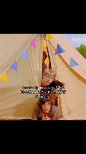 *•.¸♡𝑶𝒏𝒆 𝑫𝒊𝒓𝒆𝒄𝒕𝒊𝒐𝒏 𝑽𝒊𝒃𝒆𝒔✭✰ | The transformation of One Direction from 2012 to 2013 is insane. #harrystyles #onedirection #louistomlinson #explore #liampayne #niallhoran... | Instagram