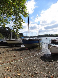 Canon PowerShot SX30 IS sample image