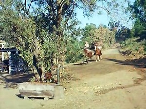 Big Valley Staffel 1 Folge 4 HD Deutsch