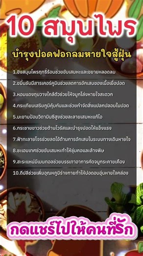 10 สมุนไพรบำรุงปอดฟอกลมหายใจสู้ฝุ่น
