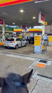 138K views · 1.8K reactions |  Queuing for petrol, but I'm on a horse  ( by @gusdolphin via TikTok) | Secret London | Facebook