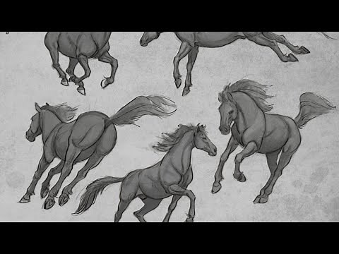 Live Stream - Drawing a Horse