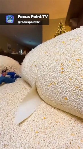 Kids Accidentally Turn Fireplace Into a Popcorn Explosion This video is created with Al and is intended for entertainment purposes only. | Focus Point TV