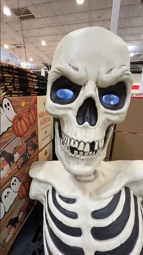 Halloween 2025 Costco New Decor Quick Look