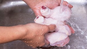 76K views · 76 reactions | Why You Should Never Wash Raw Chicken | Mashed | Facebook