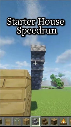 Minecraft Starter House Speedrun #minecraft #shorts #gaming