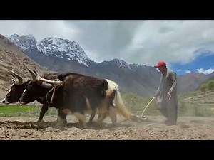 Amezing Village Life In Gilgit Baltistan | Peaceful and Natural Views Of My Village| Saltoro Siachen