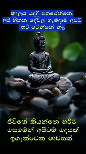 කාලය කියන්නෙ අපිටම ඉගැන්වීම් දෙන මාවතක් | #sinhala#life #lessons #buddhist #motivation #shorts
