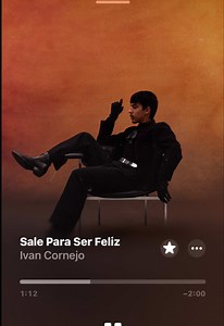 Sale Para Ser Feliz - Iván Cornejo letra y significado
