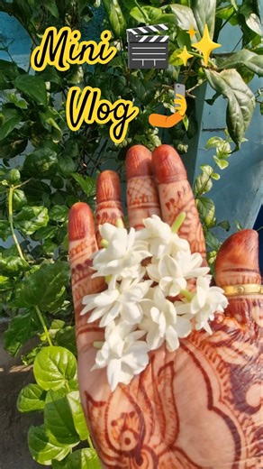 Mini Vlog - Long Drive & FamilyTime #shorts #ytshorts #sasural #nature