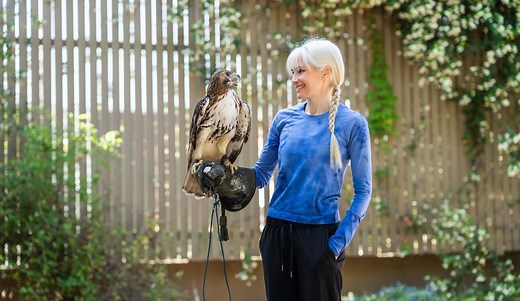 UF researchers: Soaring birds use their lungs to modify mechanics of flight » College of Veterinary Medicine » University of Florida
