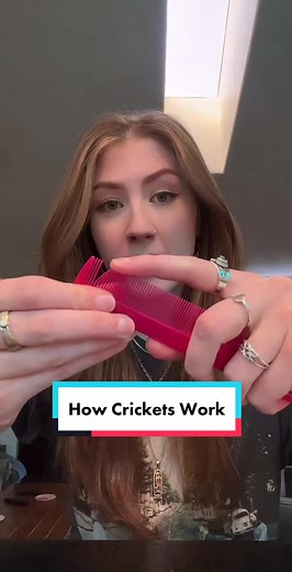How Crickets Make Noise: The Science of Cricket Chirping