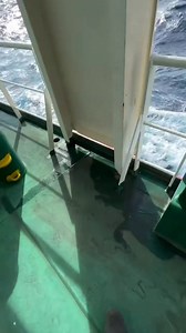 Pacific Ocean in view. #everyone #pacificocean #OceanViews #oceanvibes | Anum Joshua