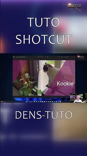Maîtrisez les masques et l'étalonnage de couleurs dans Shotcut : tutoriel pas à pas : 04
