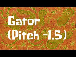 SpongeBob Music Gator (Pitch -1.5)