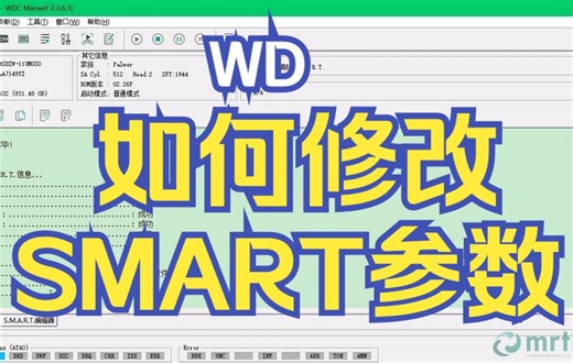 WD 2.1.6.x 如何修改西数硬盘SMART属性参数